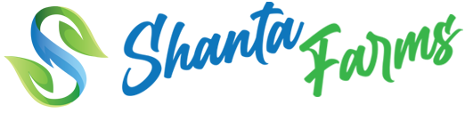 PT. GANDAMANIK